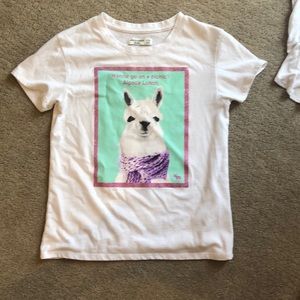 3 Abercrombie and Hollister T-shirts